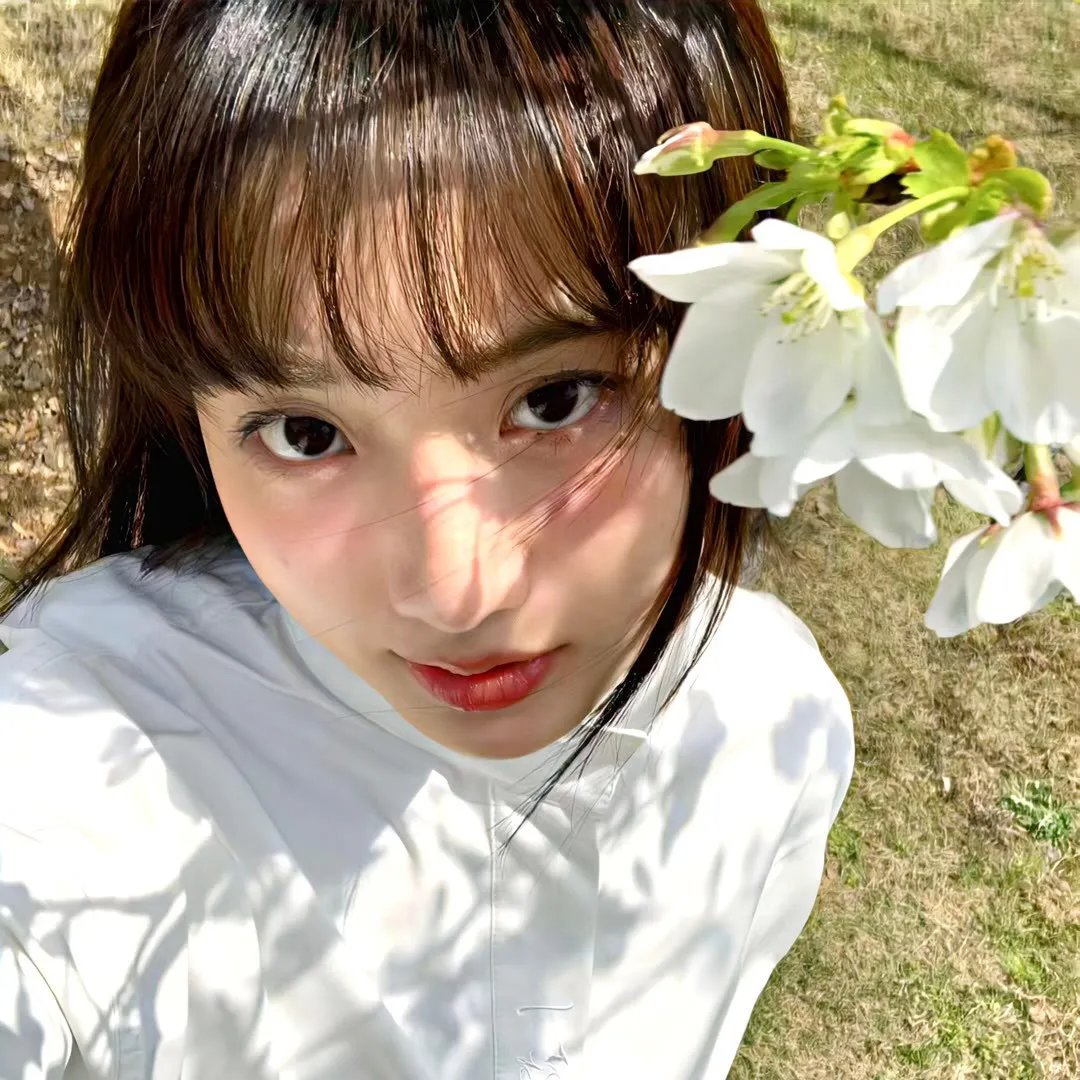 小童荒野历险记